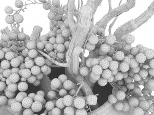Decor dry grape in ceramic vase Model 3D