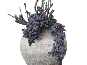 Decor dry grape in ceramic vase Model 3D