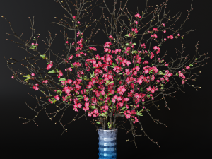 Branches cherry flowers 3D मॉडल
