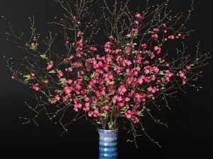 Takken kersenbloemen 3D Model