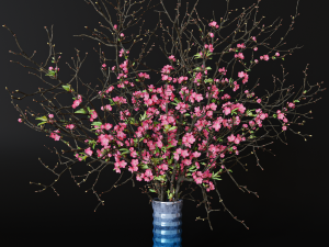 Branches cherry flowers Model 3D
