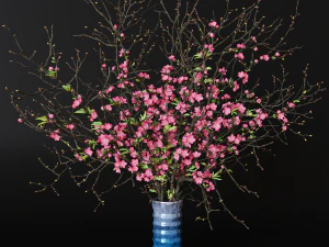 Branches cherry flowers 3D Model