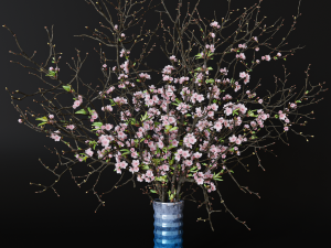Branches cherry flowers Model 3D