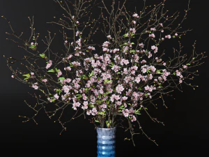 Branches cherry flowers 3D Model