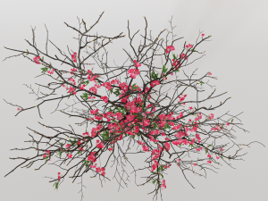 Branches cherry flowers Model 3D