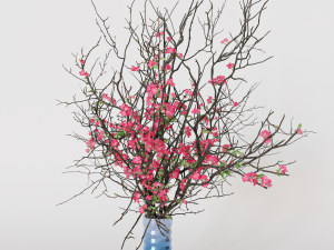 Branches cherry flowers Model 3D