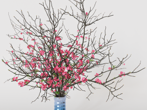 Branches cherry flowers Model 3D