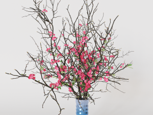 Branches cherry flowers Model 3D