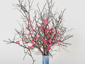 Branches cherry flowers 3D Model