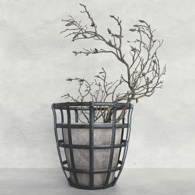 Decor branch dry magnolia 3D मॉडल .c4d .max .obj .3ds .fbx .stl .blend 