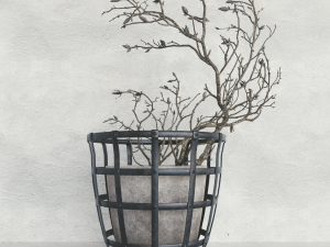 Decor branch dry magnolia 3D मॉडल