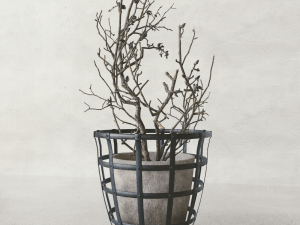 Decor branch dry magnolia 3D मॉडल