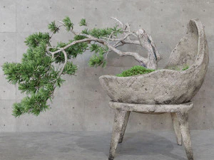 装飾的な松の盆栽 3Dモデル