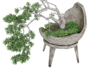 装飾的な松の盆栽 3Dモデル