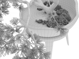 装飾的な松の盆栽 3Dモデル