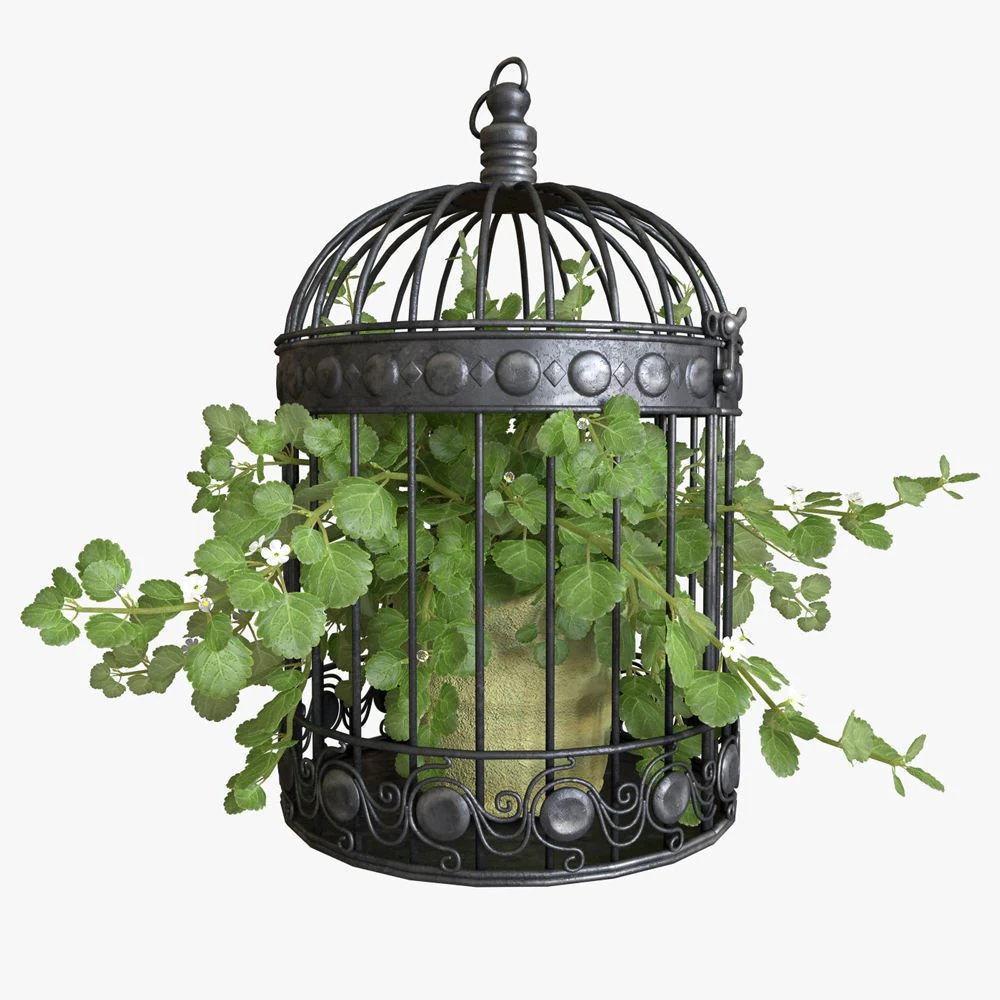 Ivy in a bird cage 3D Model .c4d .max .obj .3ds .fbx .stl .blend