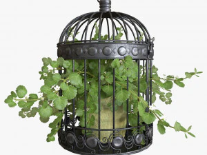 Ivy in a bird cage 3D Model