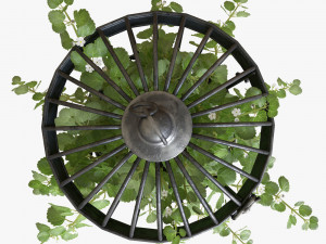 Ivy in a bird cage 3D Model