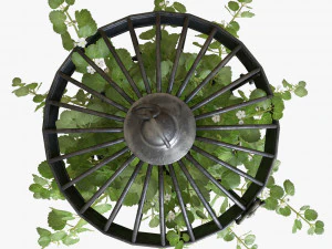Ivy in a bird cage 3D Model