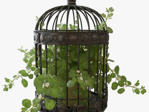 Ivy in a bird cage 3D Model