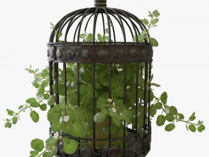 Ivy in a bird cage 3D Model