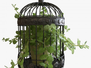 Ivy in a bird cage 3D Model