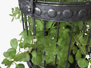 Ivy in a bird cage 3D Model