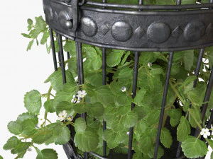 Ivy in a bird cage 3D Model