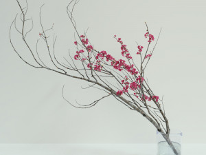 Decorative branch with flowers of sakura 3D Модель