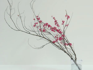 Decoratieve tak met bloemen van sakura 3D Model