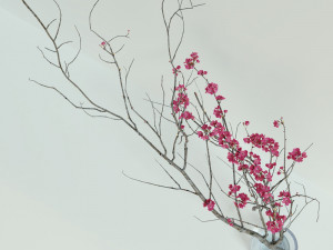 Decorative branch with flowers of sakura 3D Model