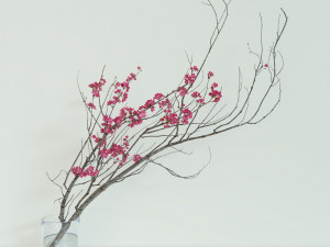 Decorative branch with flowers of sakura 3D Model