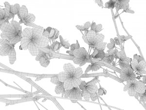 Decorative branch with flowers of sakura 3D Model