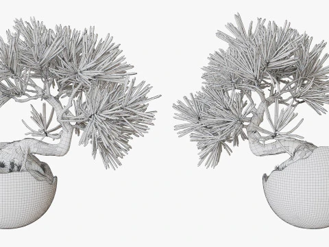 Decorative small pine tree bonsai 3D Model
