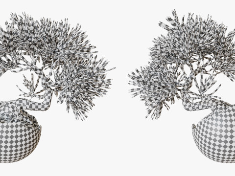 Decorative small pine tree bonsai 3D 모델