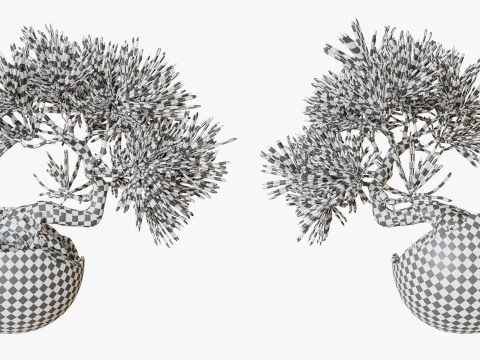 Decorative small pine tree bonsai 3D Model