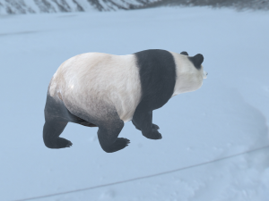 panda 3D मॉडल