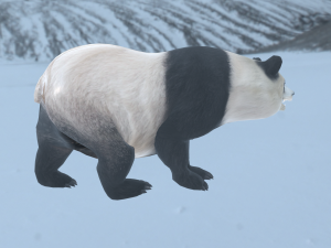 panda 3D Model