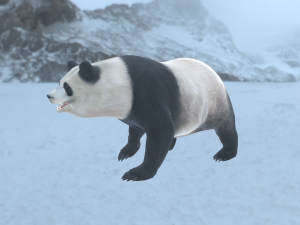 panda 3D Model
