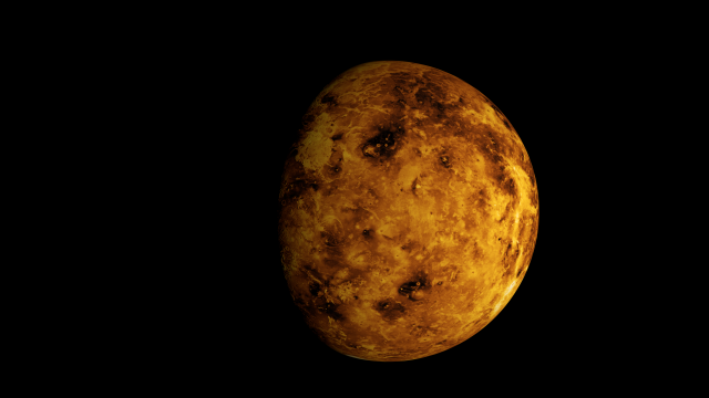 venus realistic 3Dモデル .c4d .max .obj .3ds .fbx .stl .blend 