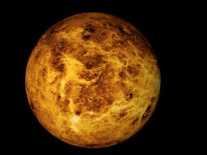 venus realistic 3D Model
