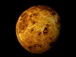 venus realistic 3D Model