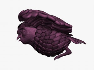 high poly owl 3D 模型