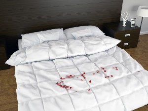 bedroom Model 3D