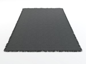 Rugs pitagora natuzzi Modello 3D