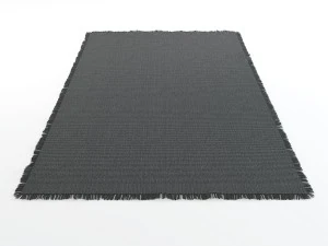 Rugs pitagora natuzzi 3D Model