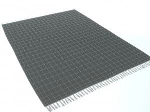 3d carpet natural jute zara home model 3D Model