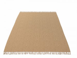 3d carpet natural jute zara home model 3D Model