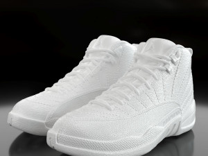 air jordan 12 retro 3D Принт Модель