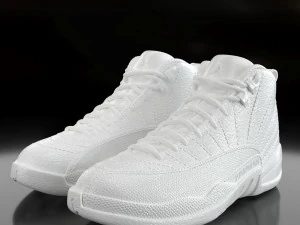 air jordan 12 retro 3D Print Model